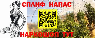 метадон Гатчина