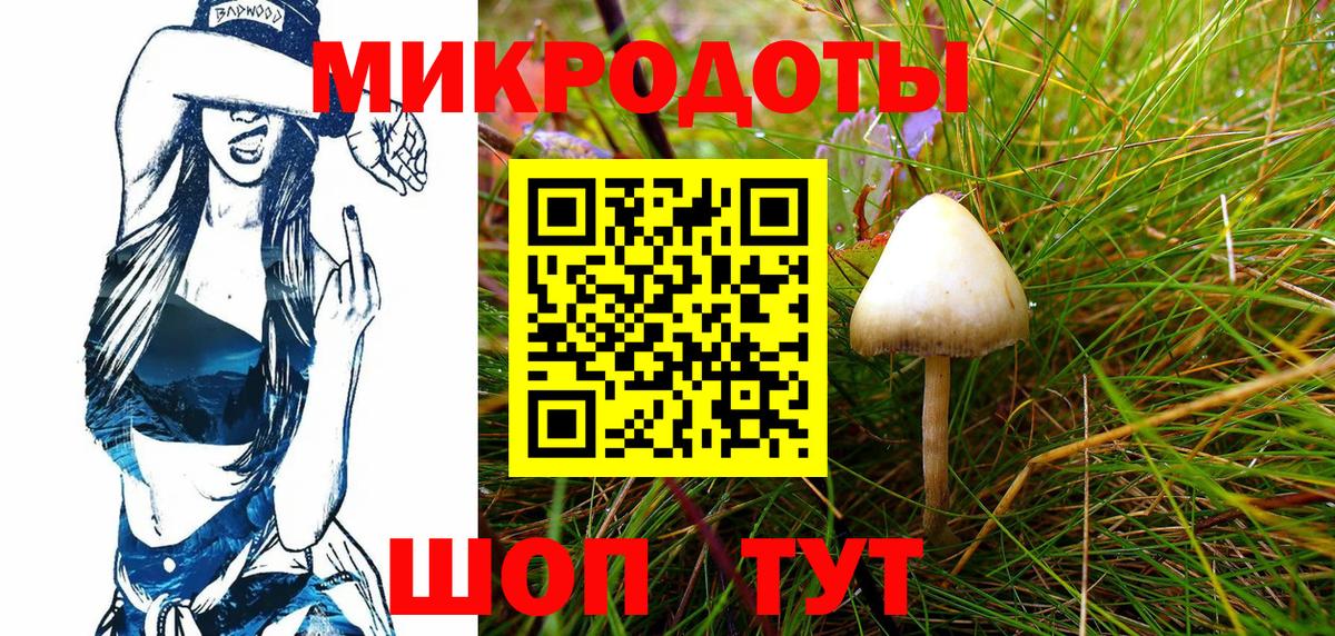 Псилоцибиновые грибы Psilocybe  Вход с VPN  Калач-на-Дону 