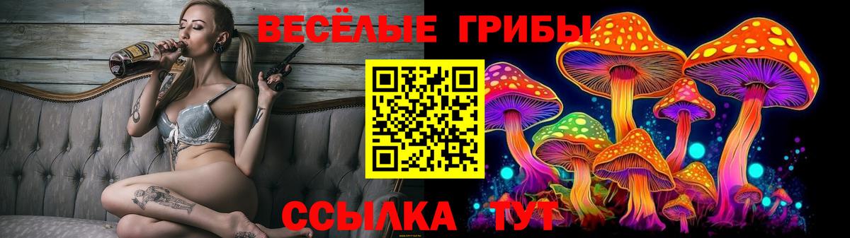 Галлюциногенные грибы GOLDEN TEACHER Калач-на-Дону